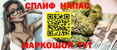 дживик Сланцы