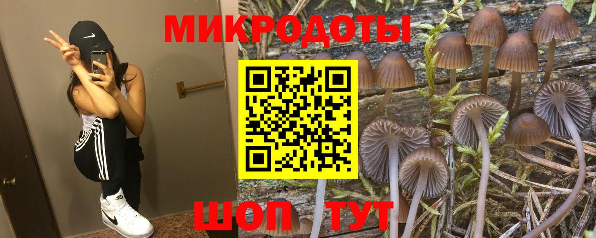 Галлюциногенные грибы мухоморы Северобайкальск