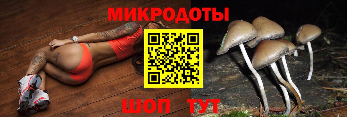 Северобайкальск  Псилоцибиновые грибы ЛСД  Вход с VPN 